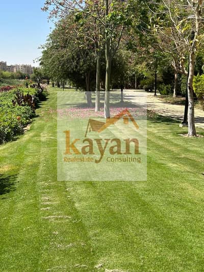 5 Bedroom Villa for Sale in Madinaty, Cairo - WhatsApp Image 2025-10-09 at 2.14. 27 PM. jpeg