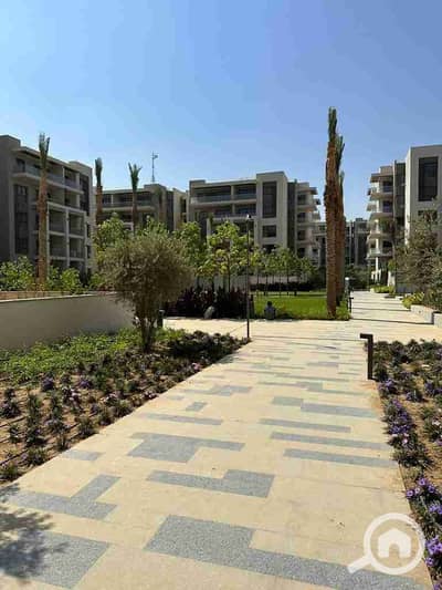 3 Bedroom Apartment for Sale in New Cairo, Cairo - 1000454964. jpg