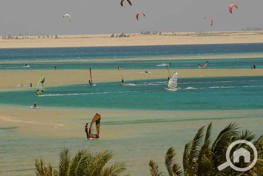 8 egypt-hurghada-soma-bay-beach-surfers-orig. jpg