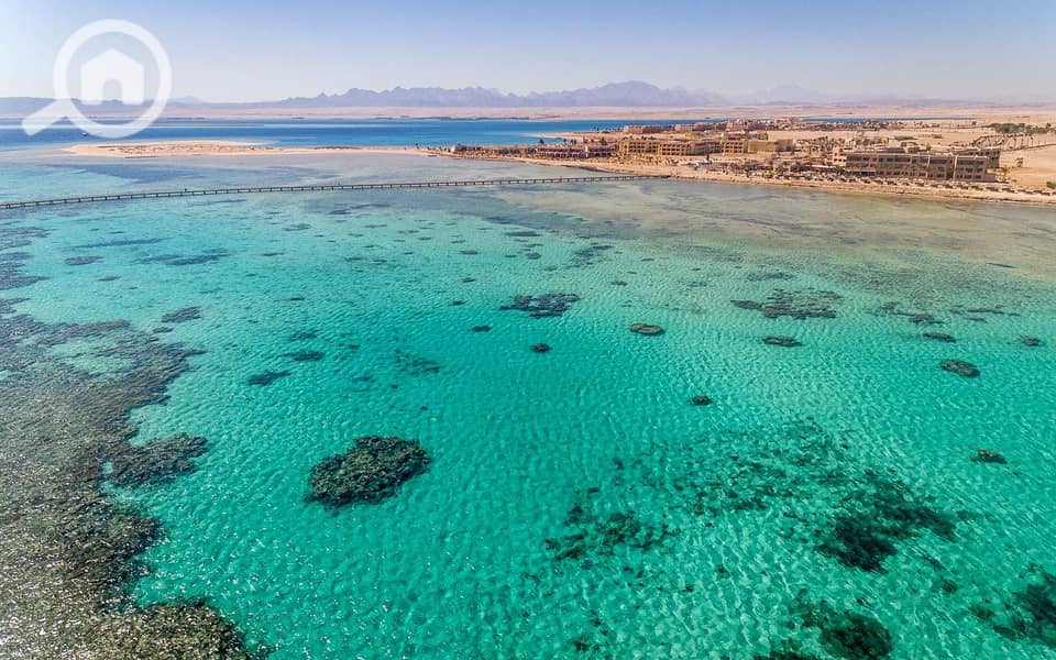 11 soma-bay-egypt. jpg
