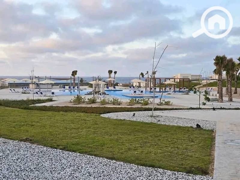 3 WhatsApp Image 2025-09-08 at 12.08. 41_450d27a4. jpg