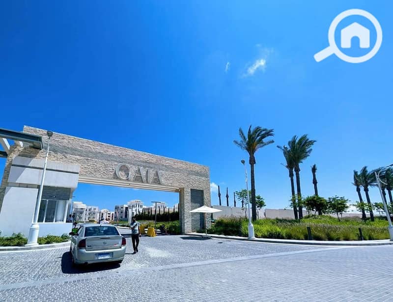 8 WhatsApp Image 2025-09-08 at 14.22. 43_3f246057. jpg