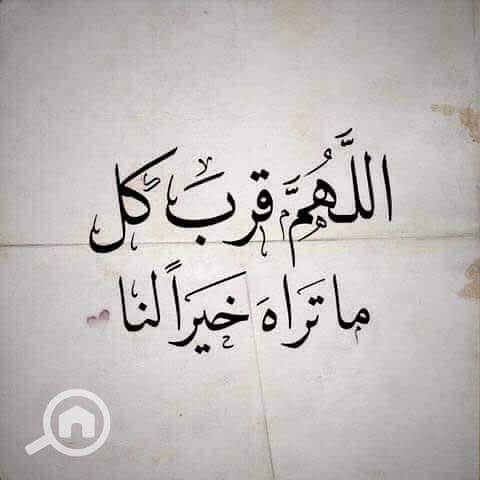 11 images (3). jpeg. jpg