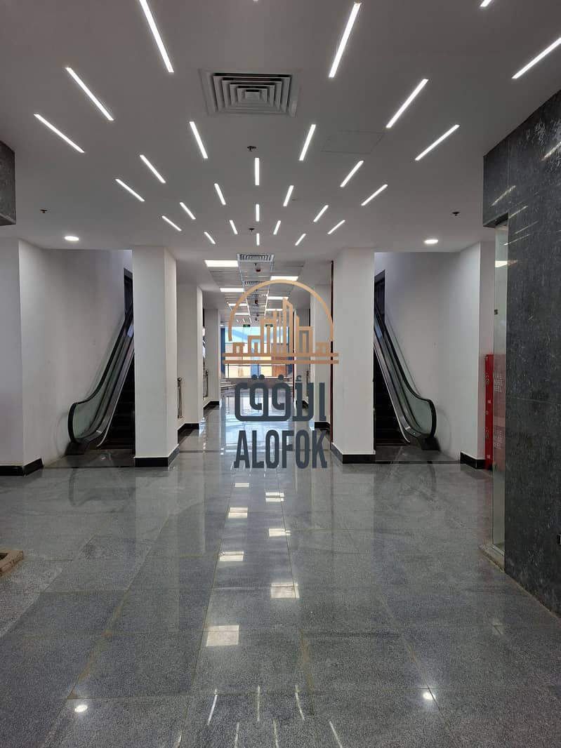 11 ٢٠٢٥١٠٠٩_١٤٥٤٤٠. jpg