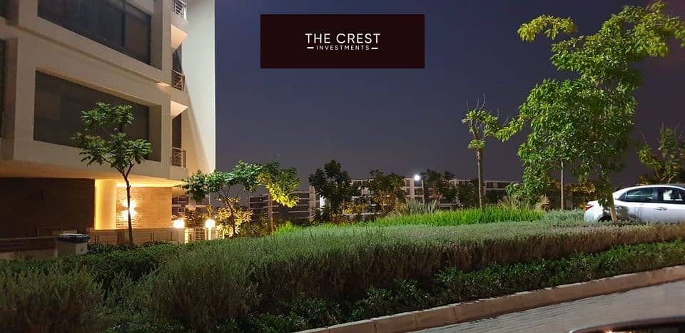 11 405494069_302644212743866_1490439846192720788_n. jpg