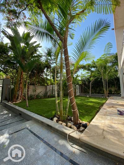 3 Bedroom Villa for Sale in Madinaty, Cairo - WhatsApp Image 2025-10-09 at 2.55. 47 PM (1). jpeg