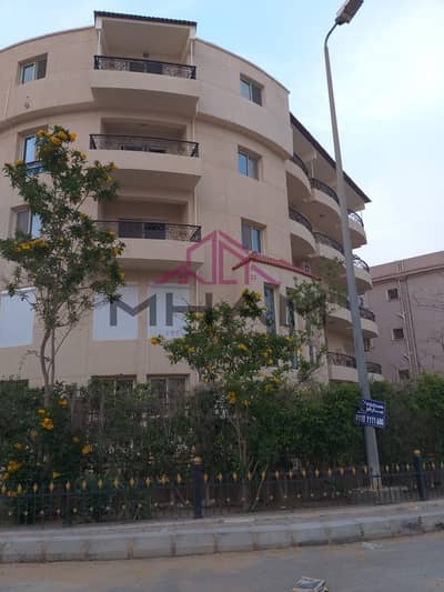 3 Bedroom Flat for Rent in New Cairo, Cairo - photo_5989789407529520164_y. jpg