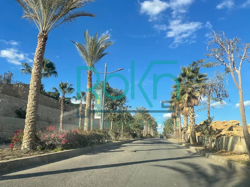 2 WhatsApp Image 2025-08-11 at 4.29. 21 PM. jpeg