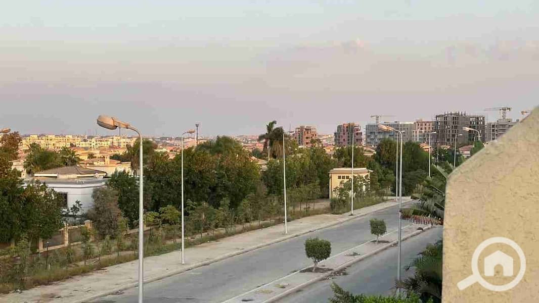 2 1000191319. jpg