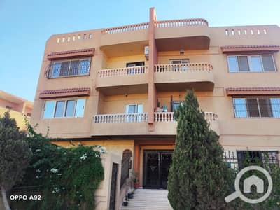 3 Bedroom Apartment for Rent in Sheikh Zayed, Giza - 0d39dfea-bf24-43e1-bd31-4267acc13173. jpg