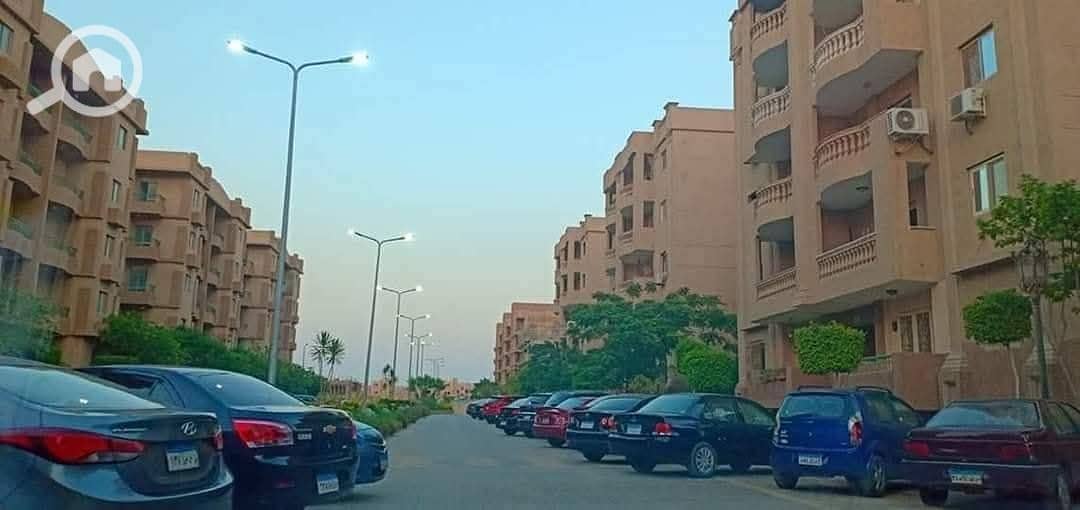 12 WhatsApp Image 2025-10-09 at 17.13. 35_f695d48a. jpg