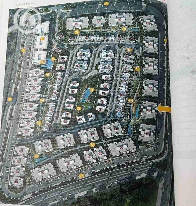 9 1000345869. jpg