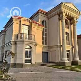 8 489385481_1505337053932805_5088152368232593485_n. jpg