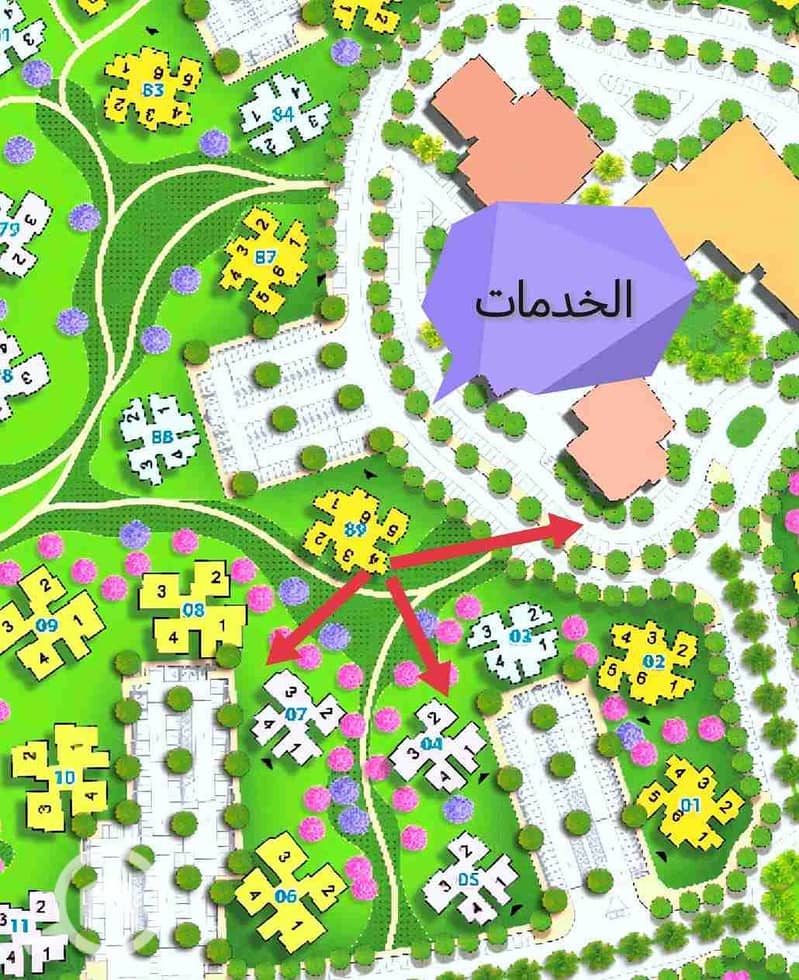 5 1000427371. jpg