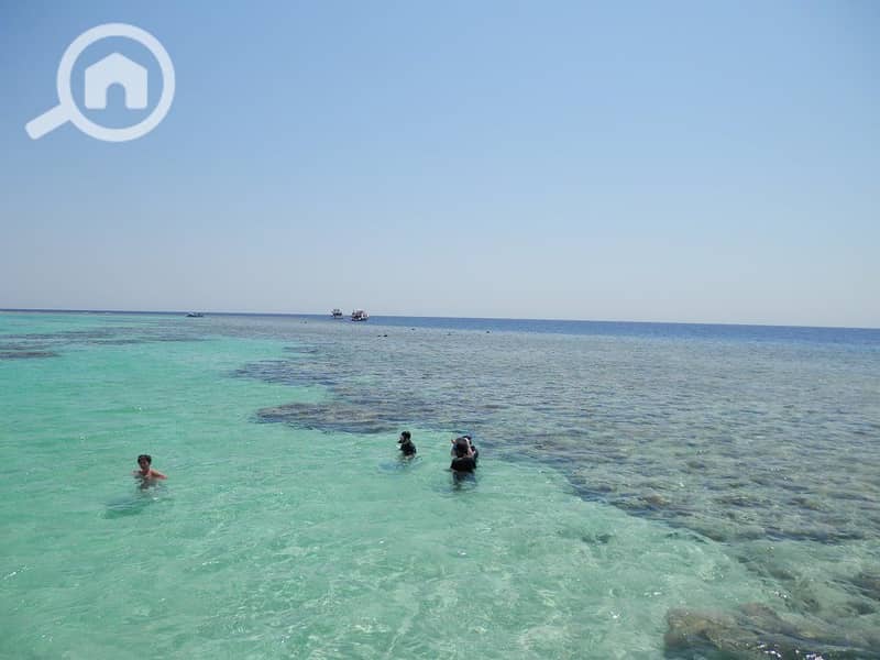 10 egypt-hurghada-soma-bay-beach-reef-orig. jpg