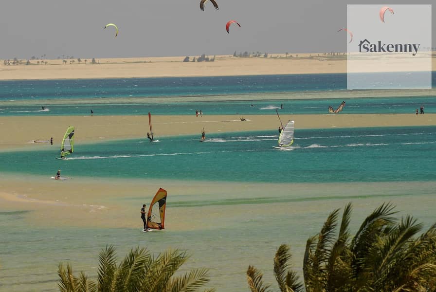 11 egypt-hurghada-soma-bay-beach-surfers-orig. jpg