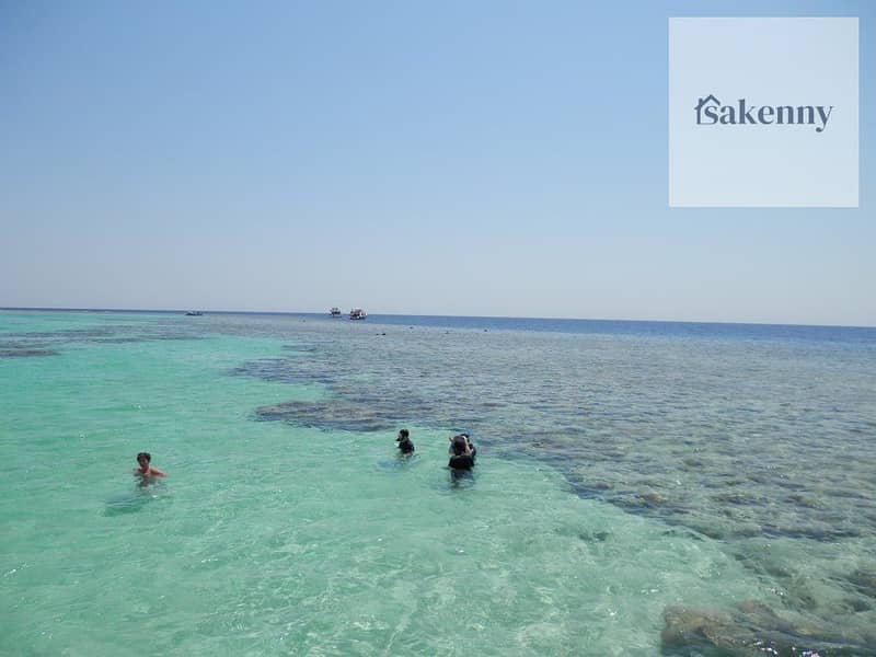 12 egypt-hurghada-soma-bay-beach-reef-orig. jpg