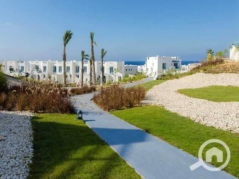 14 292561572_4714749245291172_2384174509575806326_n. jpg