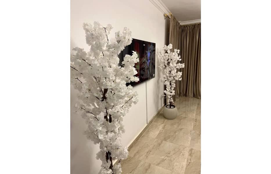 11 IMG-20251005-WA0023. jpg