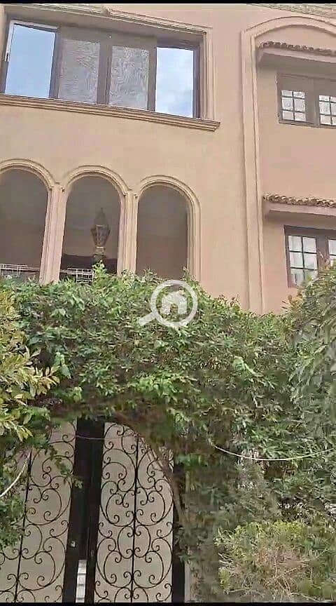 459781096_887085392837120_4039468340143392755_n. jpg 459781096_887085392837120_4039468340143392755_n. jpg