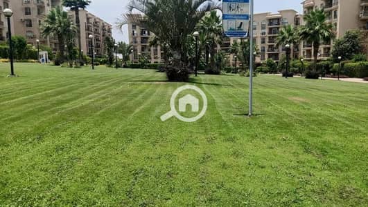 3 Bedroom Flat for Sale in New Cairo, Cairo - 558628402_1442172234578015_6460897538021705364_n. jpg