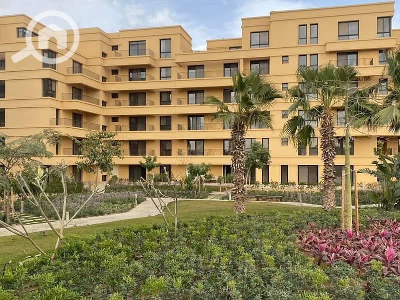 16 WhatsApp Image 2025-06-01 at 15.21. 11. jpeg