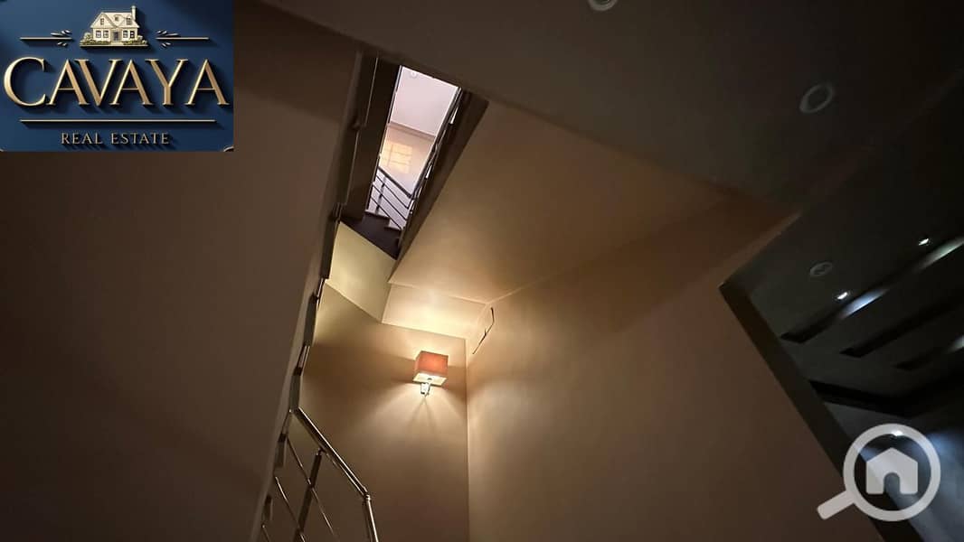 38 Untitled design (38). png