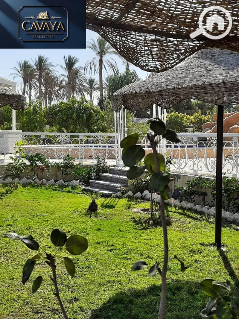 6 Untitled design (6). png