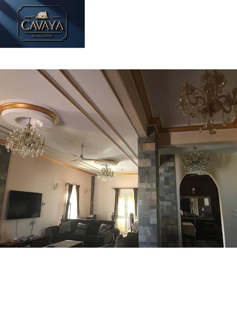 8 Untitled design (10). png