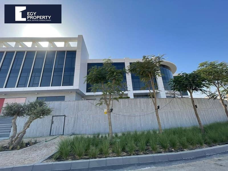 2 _files_de6f4afe-341e-4ab1-b6b6-6af7b4e00c1e. jpeg