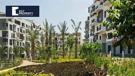 3 WhatsApp Image 2025-10-07 at 1.38. 03 AM. jpeg