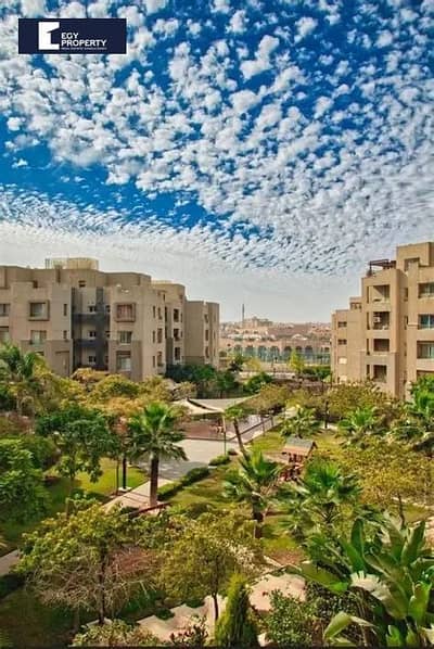 1 Bedroom Flat for Rent in New Cairo, Cairo - WhatsApp Image 2025-10-06 at 12.26. 10 AM. jpeg