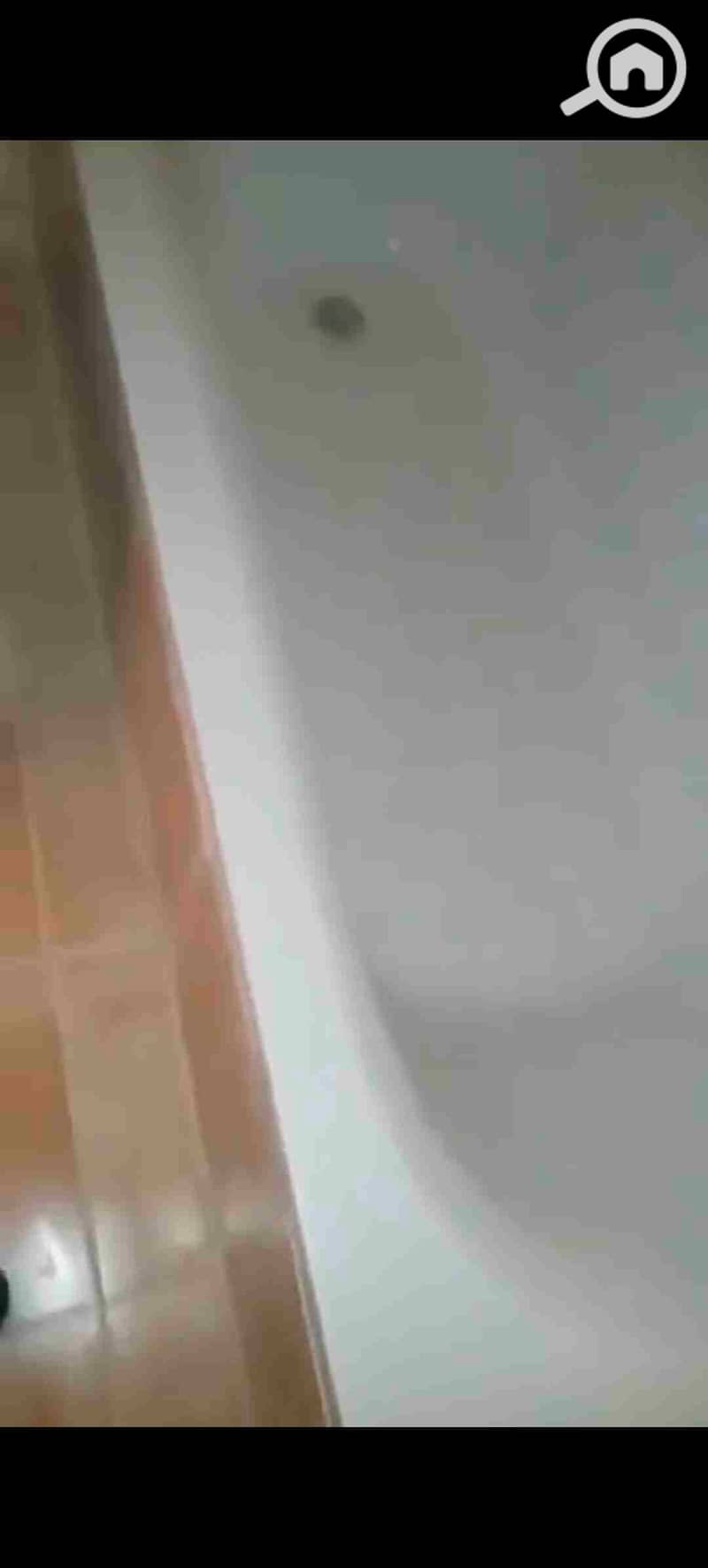 17 1000301128. jpg