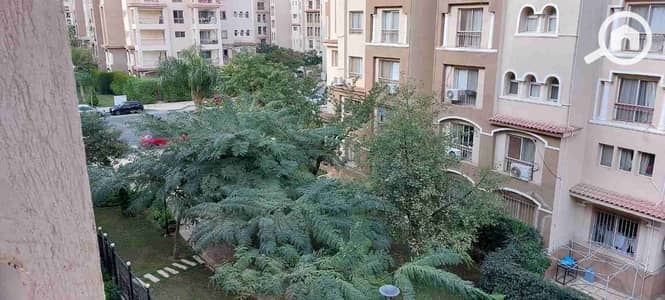 3 Bedroom Apartment for Rent in Madinaty, Cairo - 1000485430. jpg