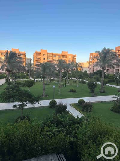 3 Bedroom Apartment for Sale in New Cairo, Cairo - IMG-20250917-WA0052. jpg