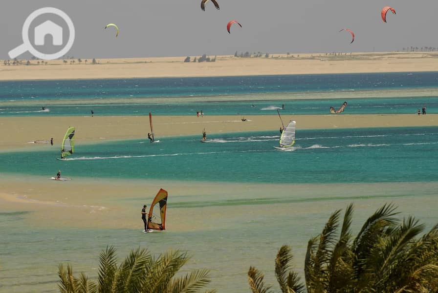 7 egypt-hurghada-soma-bay-beach-surfers-orig. jpg