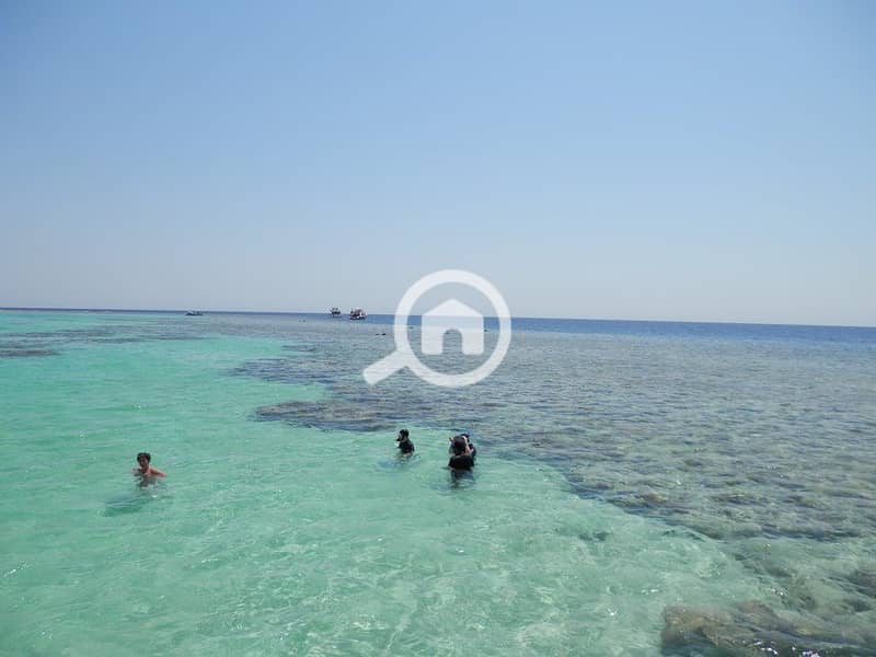 9 egypt-hurghada-soma-bay-beach-reef-orig. jpg