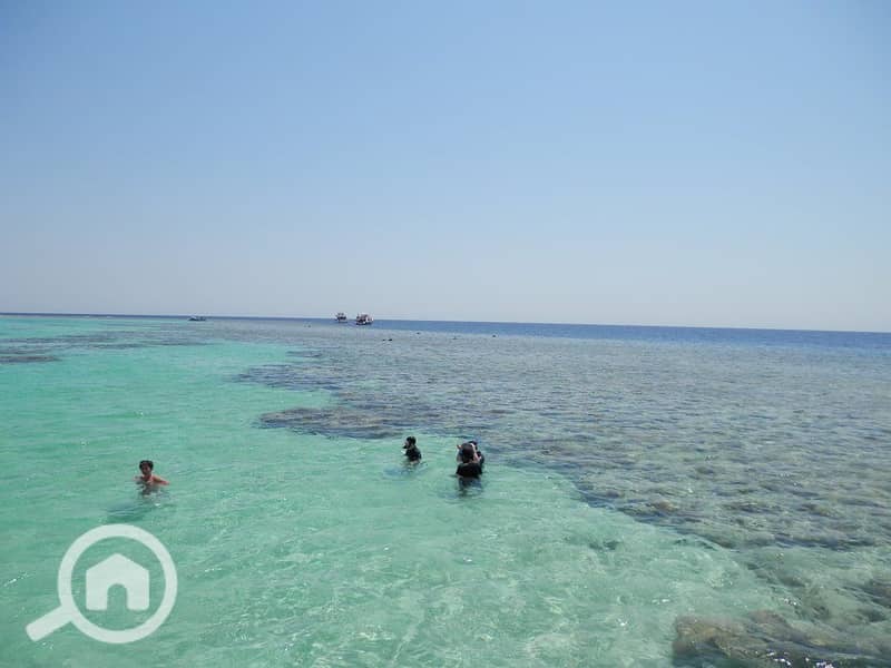2 egypt-hurghada-soma-bay-beach-reef-orig. jpg