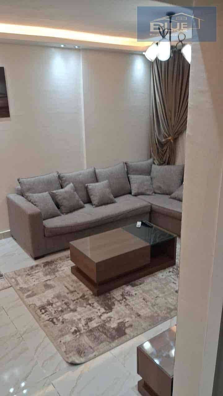 11 15656634-479c-4a51-8818-3a3680edd180. jpg