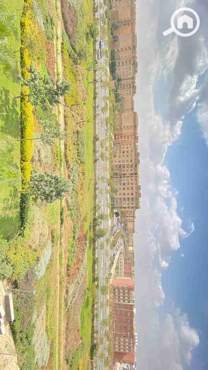 1000538251. jpg