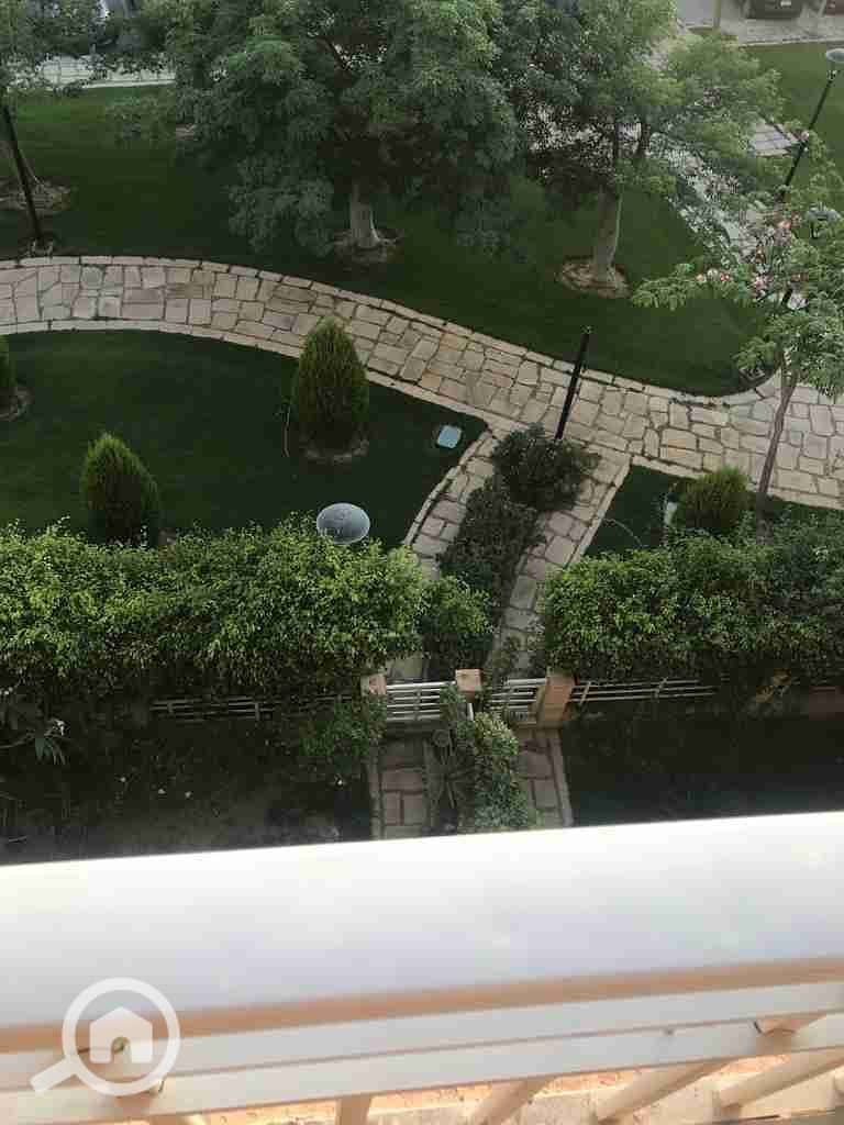 10 1000495629. jpg