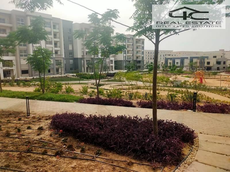 11 WhatsApp Image 2023-07-08 at 3.45. 46 PM (5). jpeg