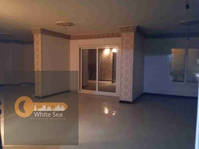 Office for Rent in Bolkly, Alexandria - 1000785473. jpg