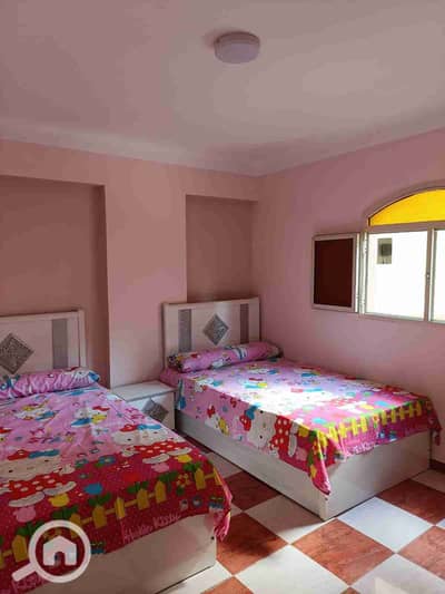 2 Bedroom Flat for Rent in Miami, Alexandria - 1000015357. jpg