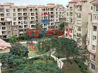 3 Bedroom Flat for Rent in Madinaty, Cairo - WhatsApp Image 2025-10-09 at 7.14. 50 PM (4). jpeg