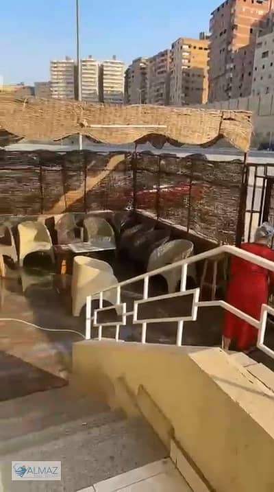 3 Bedroom Apartment for Rent in Nasr City, Cairo - WhatsApp Image 2025-10-09 at 1.32. 01 PM. jpeg