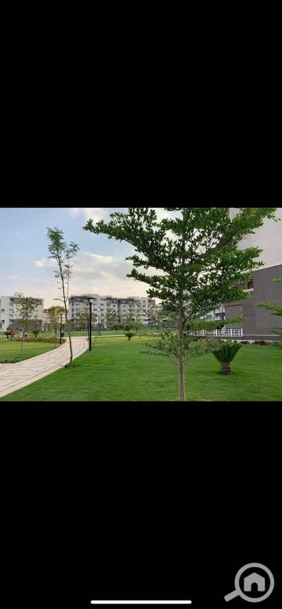 شقة 3 غرف نوم للايجار في مدينتي، القاهرة - IMG_7219. png