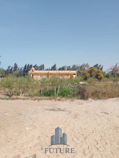 Agricultural for Sale in North Coast, Matruh - WhatsApp Image 2025-10-05 at 15.48. 44_1a136868. jpg