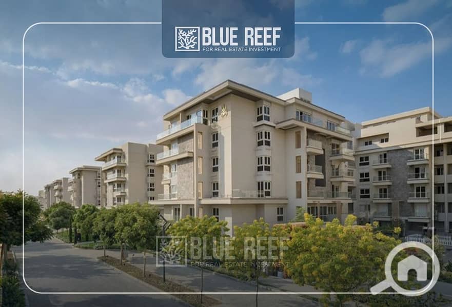 WhatsApp Image 2025-05-27 at 3.16. 55 PM (2). jpeg WhatsApp Image 2025-05-27 at 3.16. 55 PM (2). jpeg