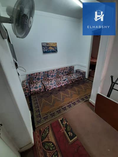 2 Bedroom Flat for Rent in Dokki, Giza - 1. jpeg